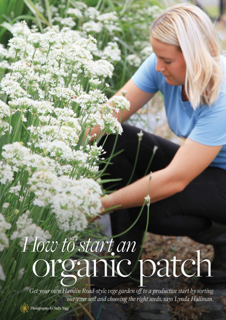 How to start an organic vege patch - Thrive Magazine feature