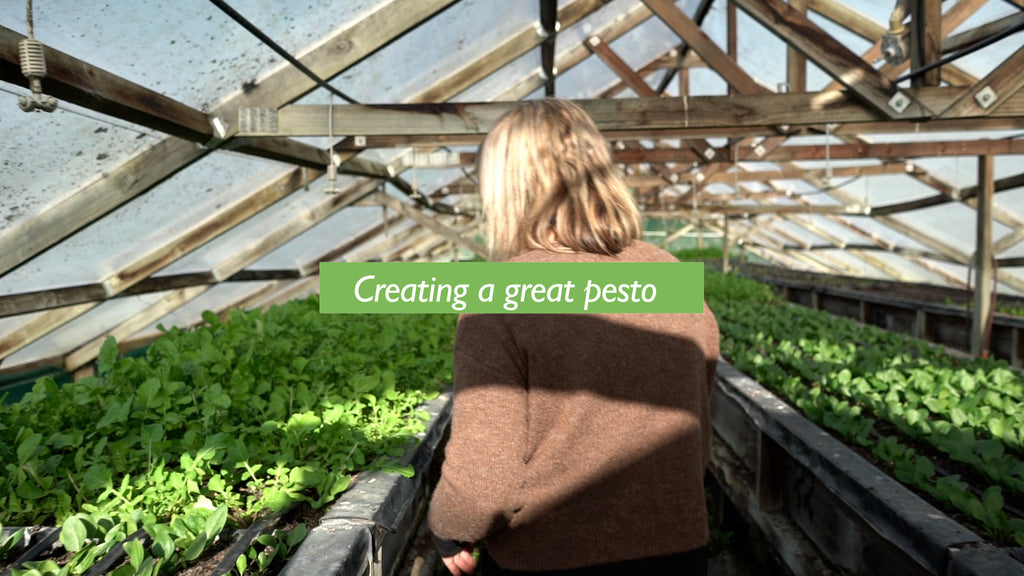 Creating a great pesto all year round