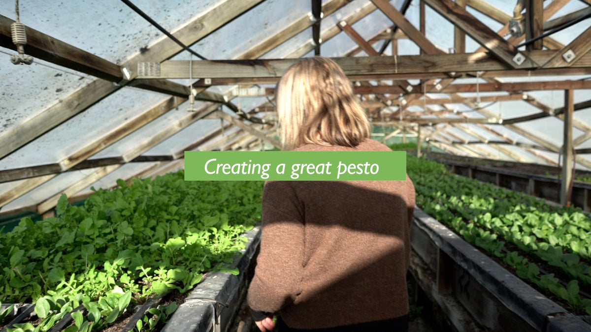 Creating a great pesto all year round – Hamlin Road Farm